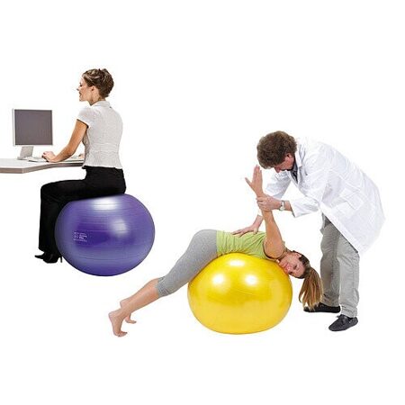 Мяч "Gymnic Plus" 65 см фиолетовый 95.26
